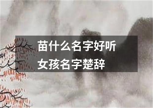 苗什么名字好听女孩名字楚辞