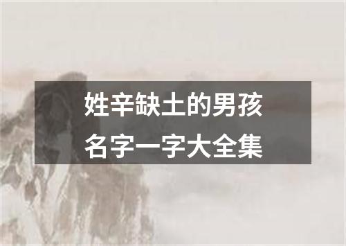 姓辛缺土的男孩名字一字大全集