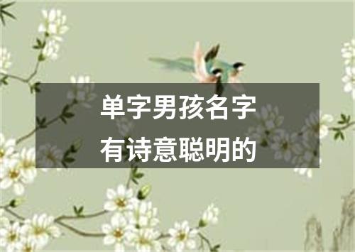 单字男孩名字有诗意聪明的