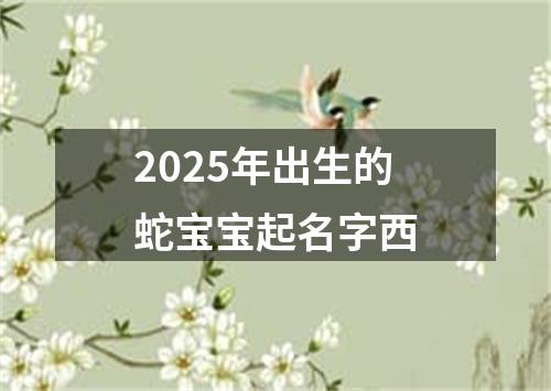 2025年出生的蛇宝宝起名字西