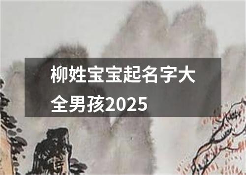 柳姓宝宝起名字大全男孩2025