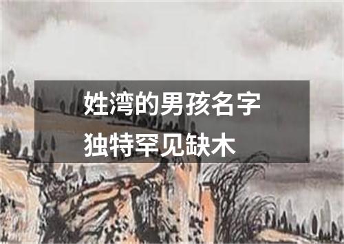 姓湾的男孩名字独特罕见缺木