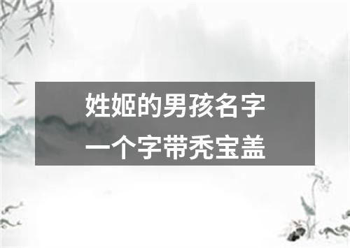姓姬的男孩名字一个字带秃宝盖
