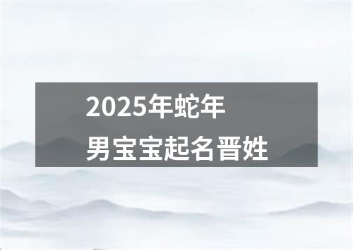 2025年蛇年男宝宝起名晋姓