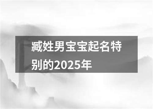 臧姓男宝宝起名特别的2025年