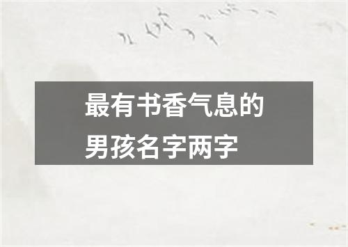 最有书香气息的男孩名字两字