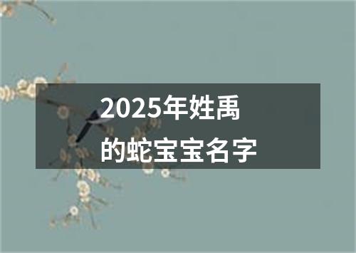 2025年姓禹的蛇宝宝名字