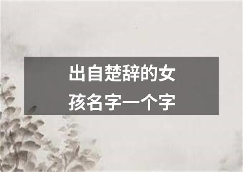 出自楚辞的女孩名字一个字