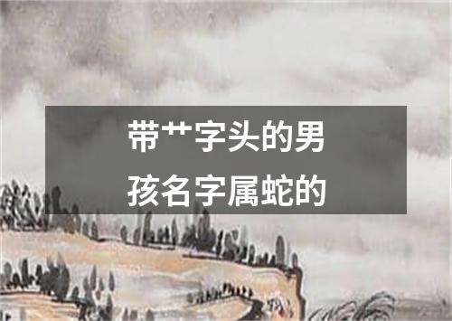 带艹字头的男孩名字属蛇的