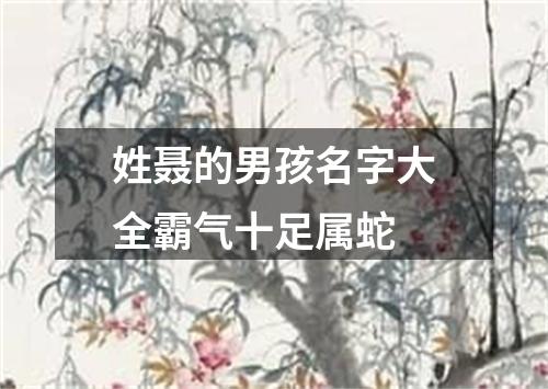 姓聂的男孩名字大全霸气十足属蛇