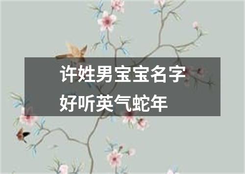 许姓男宝宝名字好听英气蛇年