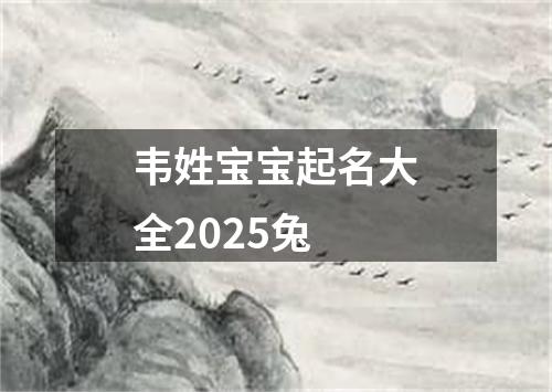韦姓宝宝起名大全2025兔
