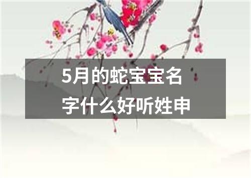 5月的蛇宝宝名字什么好听姓申