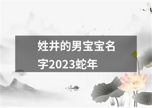 姓井的男宝宝名字2023蛇年