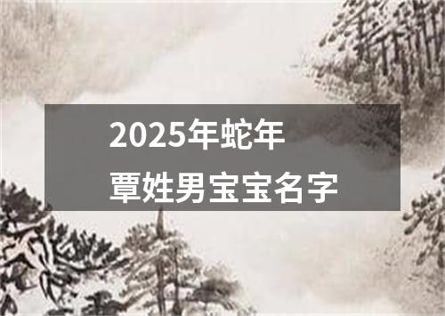 2025年蛇年覃姓男宝宝名字