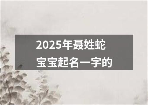 2025年聂姓蛇宝宝起名一字的