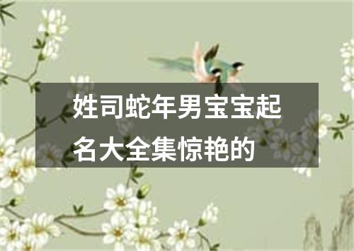 姓司蛇年男宝宝起名大全集惊艳的