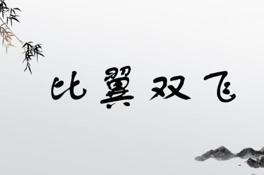 比翼双飞
