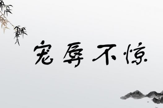 宠辱不惊