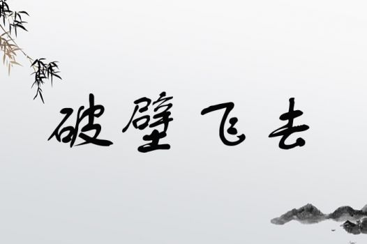 破壁飞去