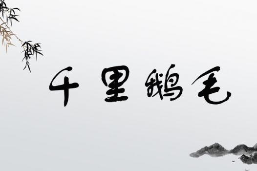 千里鹅毛