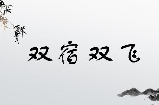 双宿双飞
