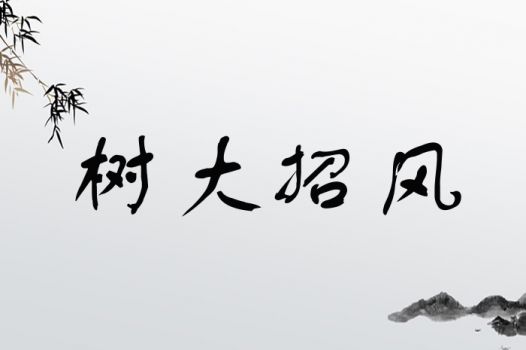 树大招风