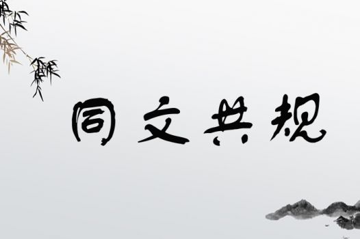 同文共规
