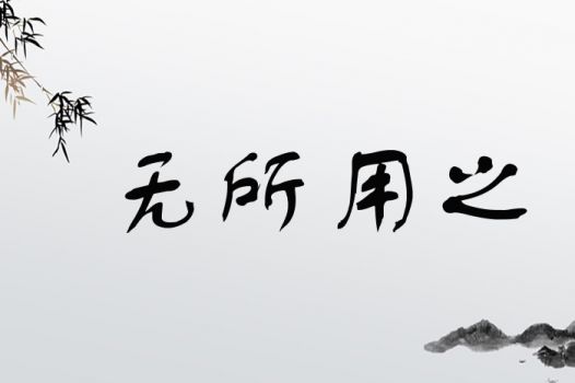无所用之