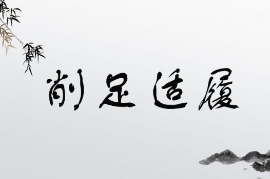 削足适履
