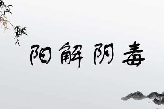 阳解阴毒