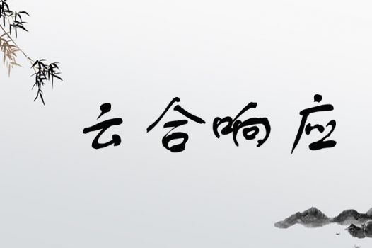 云合响应