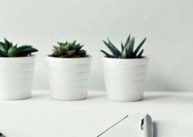 互联网公司取名大全(精选100个)