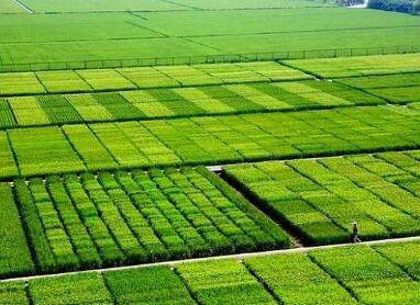 电子商务公司注册取名