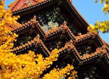 吸引人的花店店名字