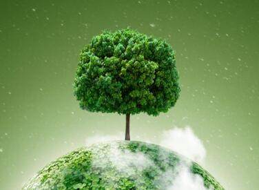 烟酒会计有限公司起名