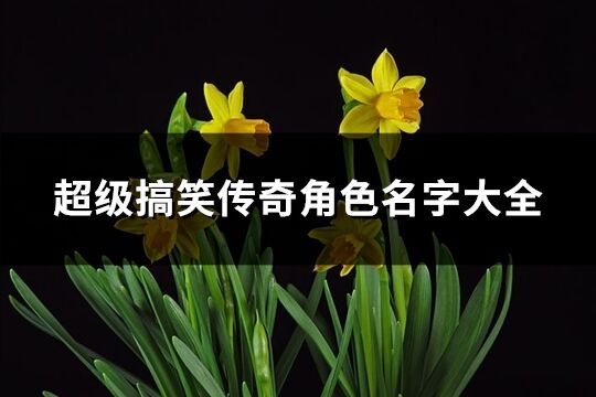 超级搞笑传奇角色名字大全(139个) 超级搞笑传奇角色名字大全(139个)