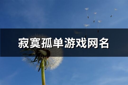 寂寞孤单游戏网名(267个)