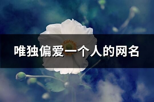 唯独偏爱一个人的网名(优选201个) 唯独偏爱一个人的网名(优选201个)