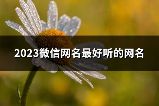 2023微信网名最好听的网名(优选1068个) 2023微信网名最好听的网名(优选1068个)