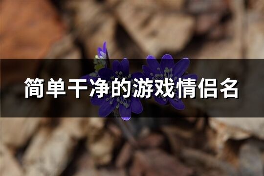 简单干净的游戏情侣名(共84个) 简单干净的游戏情侣名(共84个)