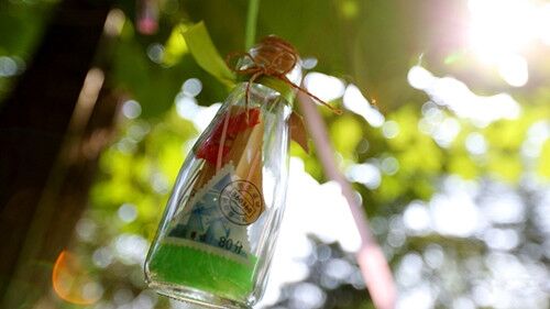 很有范的女生精选网名(共170个) 很有范的女生精选网名(共170个)