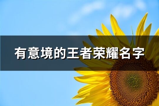 有意境的王者荣耀名字(优选341个) 有意境的王者荣耀名字(优选341个)