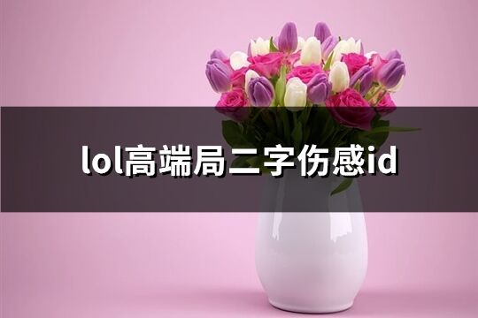 lol高端局二字伤感id(优选138个) lol高端局二字伤感id(优选138个)