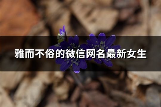 雅而不俗的微信网名最新女生(共80个) 雅而不俗的微信网名最新女生(共80个)