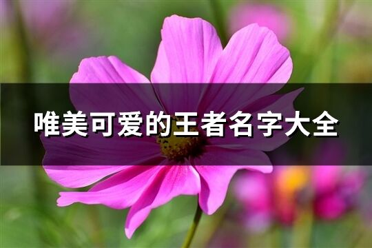 唯美可爱的王者名字大全(509个) 唯美可爱的王者名字大全(509个)
