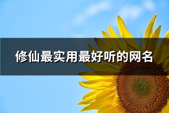 修仙最实用最好听的网名(精选100个) 修仙最实用最好听的网名(精选100个)
