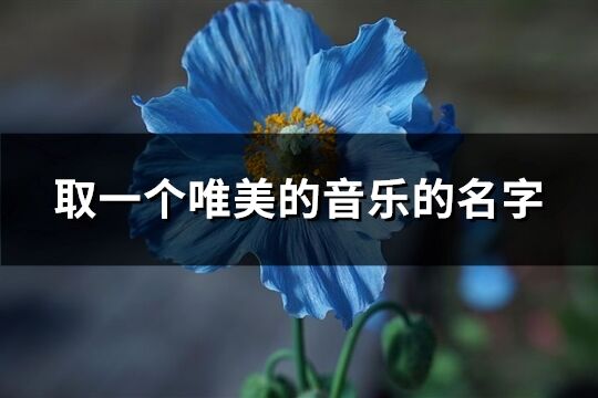 取一个唯美的音乐的名字(优选67个) 取一个唯美的音乐的名字(优选67个)