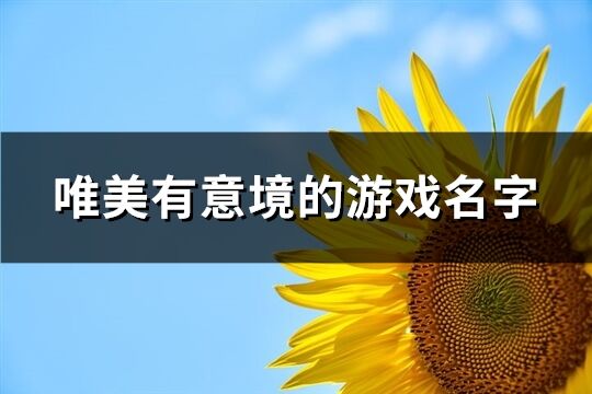 唯美有意境的游戏名字(563个) 唯美有意境的游戏名字(563个)