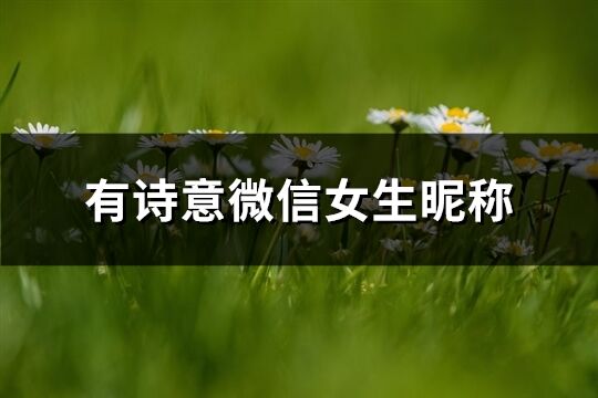 有诗意微信女生昵称(363个) 有诗意微信女生昵称(363个)